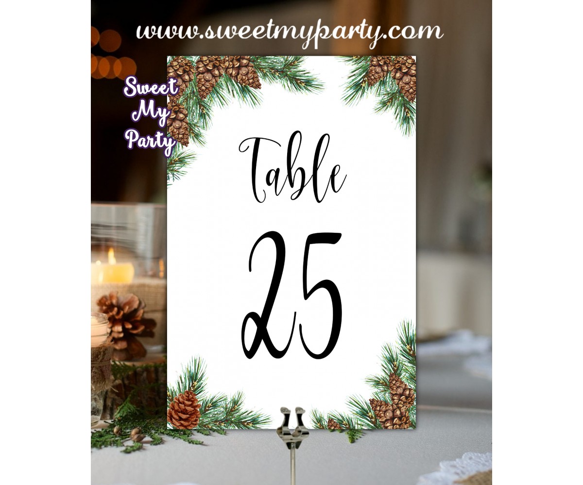 Pine Cone Table numbers,Winter wedding table numbers,(119w)